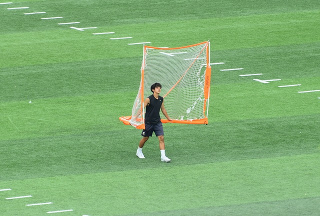 由于其对身
