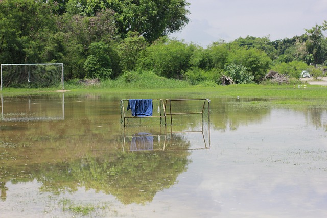 通过这些努 通过这些努