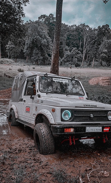 上海海港前往阿联酋冬训 超级杯前凑不齐最强阵容？.