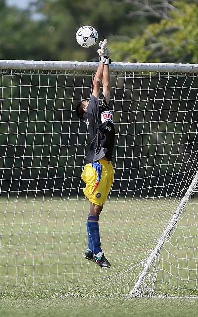 的重要支柱 的重要支柱