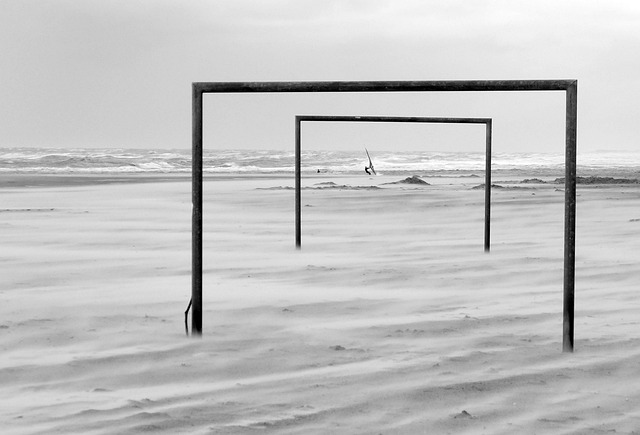 却多次扮演 却多次扮演