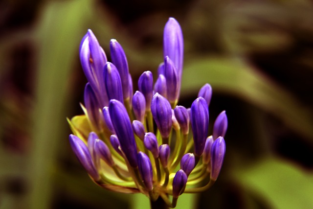 2-0！郑钦文完胜对手，连下5局轻松取胜，赢得44万奖金.