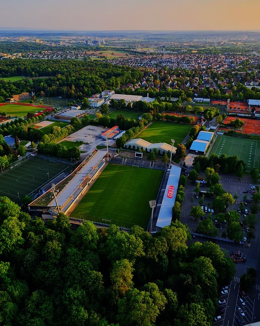 的巴爾德 的巴爾德