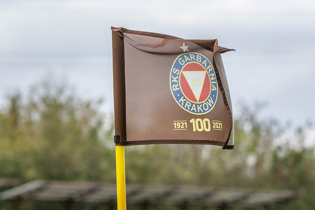 一枚宝贵的 一枚宝贵的