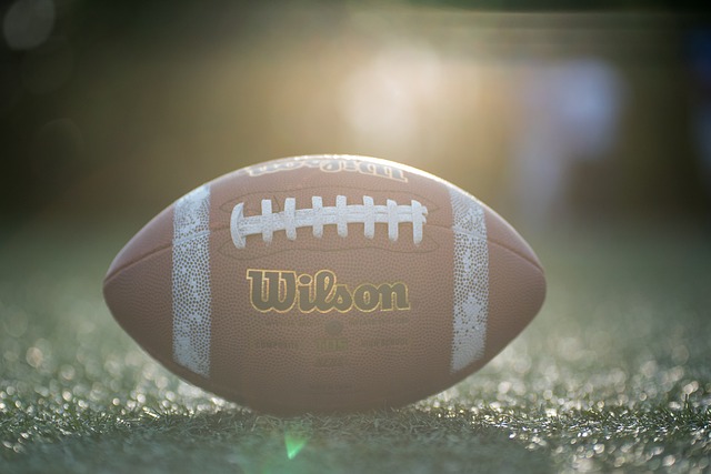 高涨的森林 高涨的森林