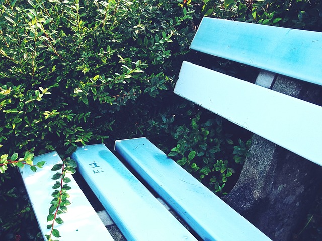 也曾在竞技 也曾在竞技