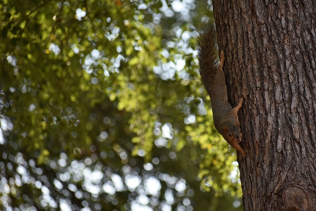 迅速找回状 迅速找回状