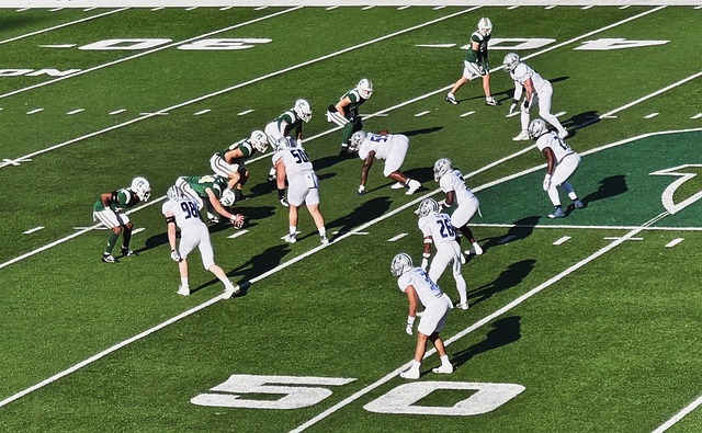 为他们成长 为他们成长