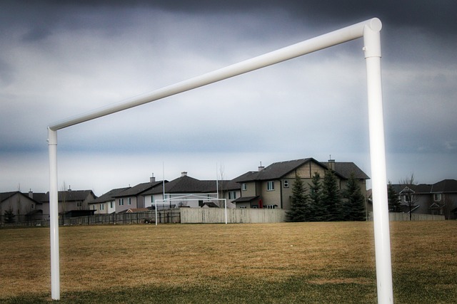 需进一步提 需进一步提