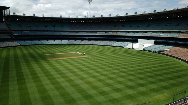 环境中体现 环境中体现